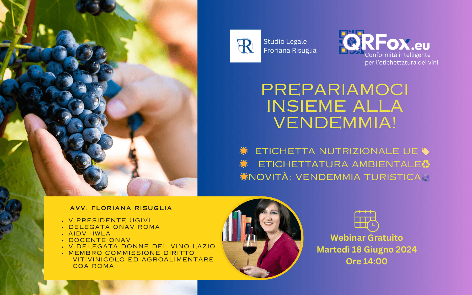 La Vendemmia Turistica: Opportunità , Normativa e Limiti